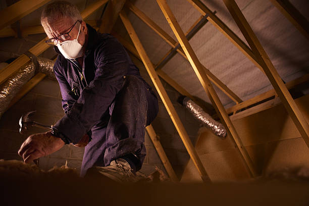 Trusted Prosser, WA Insulation Contractor Experts